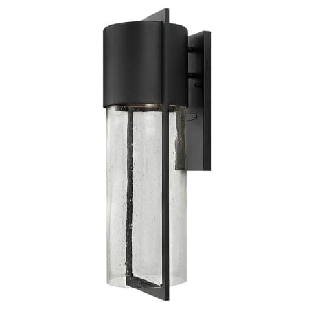 A large image of the Hinkley Lighting 1325 Black