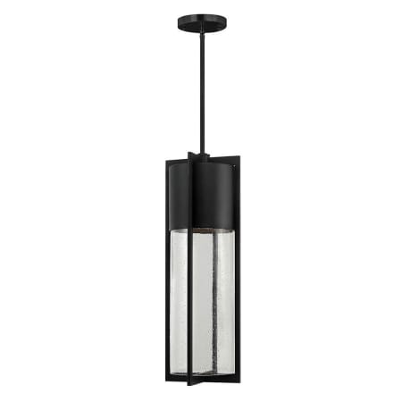 A large image of the Hinkley Lighting 1328 Black