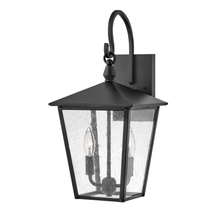 A large image of the Hinkley Lighting 14064 Black