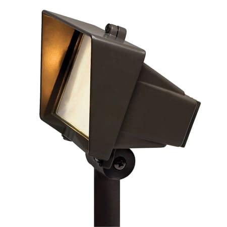 A large image of the Hinkley Lighting H1521 Bronze