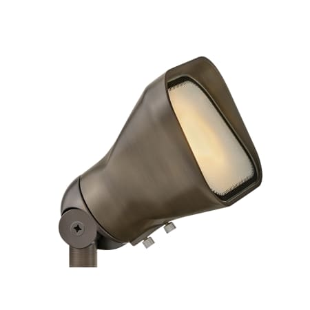 A large image of the Hinkley Lighting 15300-LL Matte Bronze