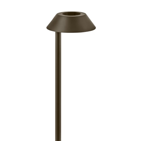 A large image of the Hinkley Lighting 15540 Bronze