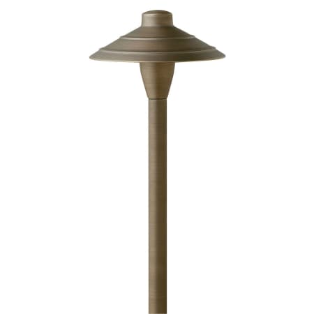 A large image of the Hinkley Lighting 16004-LL Matte Bronze