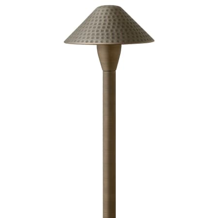 A large image of the Hinkley Lighting 16010-LL Matte Bronze