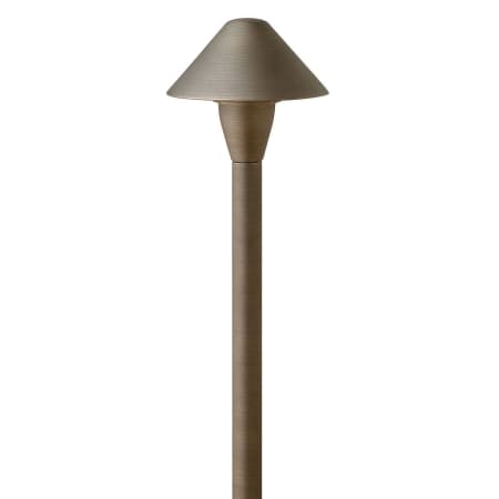 A large image of the Hinkley Lighting 16016-LL Matte Bronze