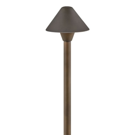 A large image of the Hinkley Lighting 16016-LL Oil Rubbed Bronze