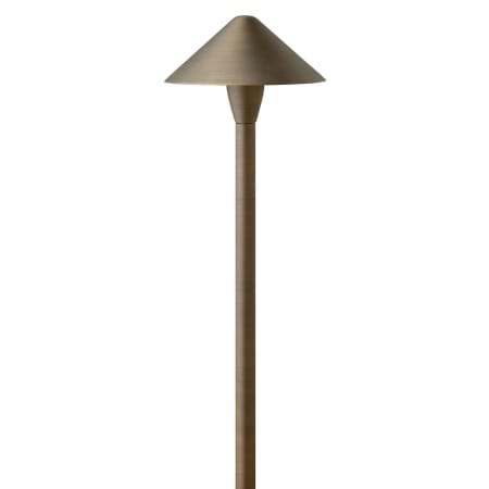 A large image of the Hinkley Lighting 16019-LL Matte Bronze