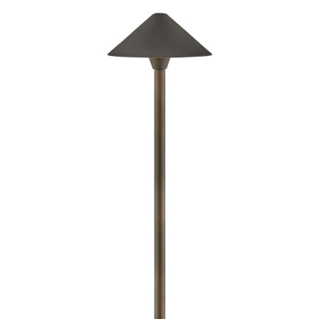 A large image of the Hinkley Lighting 16019-LL Oil Rubbed Bronze