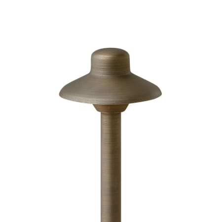 A large image of the Hinkley Lighting 16050-LL Alternate Image