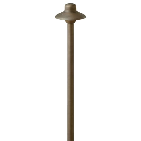 A large image of the Hinkley Lighting 16050-LL Matte Bronze