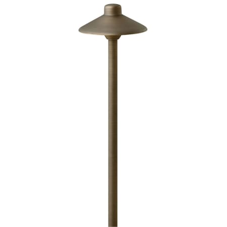 A large image of the Hinkley Lighting 16055-LL Matte Bronze