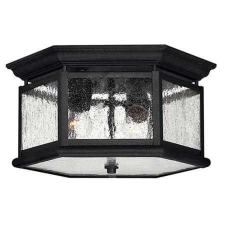 A large image of the Hinkley Lighting H1683 Black