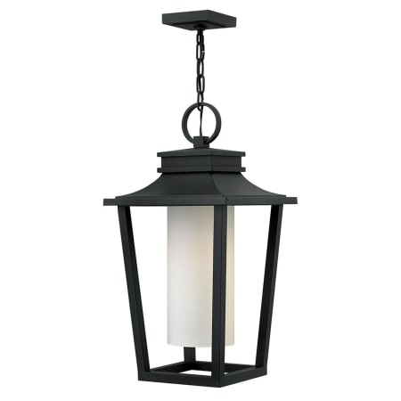 A large image of the Hinkley Lighting 1742 Black
