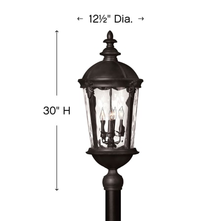 A large image of the Hinkley Lighting 1891BK Alternate Image