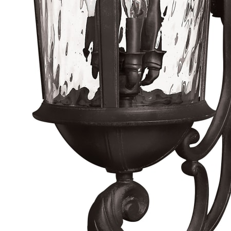 A large image of the Hinkley Lighting 1929BK Alternate Image