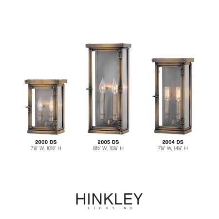 A large image of the Hinkley Lighting 2005 Alternate Image