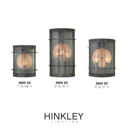 A large image of the Hinkley Lighting 2620 Alternate Image