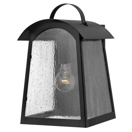 A large image of the Hinkley Lighting 2654 Black