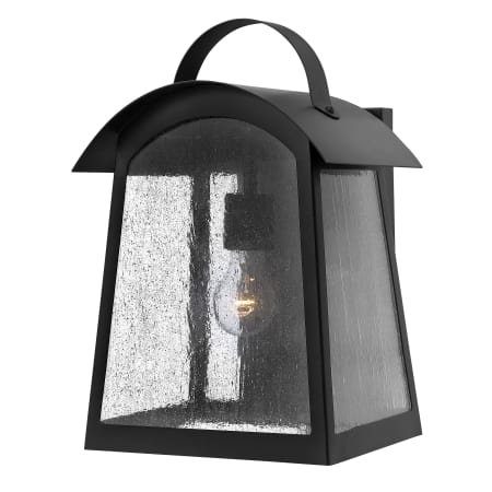 A large image of the Hinkley Lighting 2655 Black