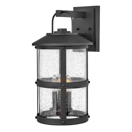 A large image of the Hinkley Lighting 2685 Black