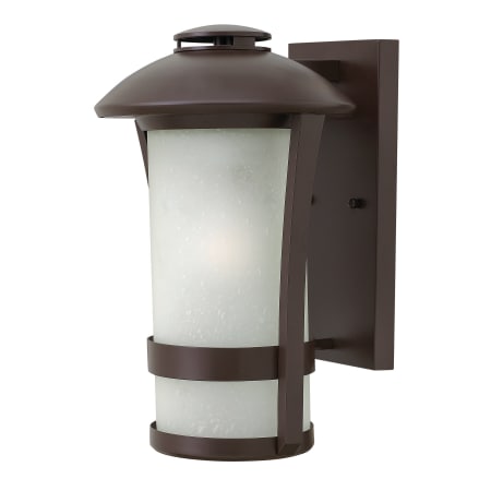 A large image of the Hinkley Lighting 2704-GU24 Anchor Bronze