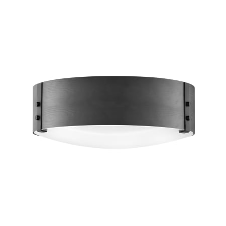 A large image of the Hinkley Lighting 29203 Black