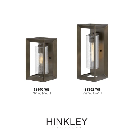 A large image of the Hinkley Lighting 29300 Alternate Image