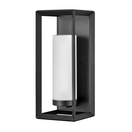 A large image of the Hinkley Lighting 29309 Brushed Graphite