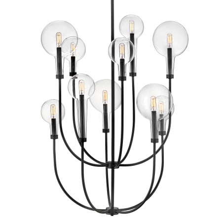 A large image of the Hinkley Lighting 30527 Black