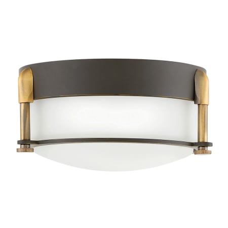 A large image of the Hinkley Lighting 3230 Oil Rubbed Bronze