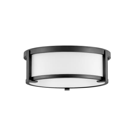 A large image of the Hinkley Lighting 3241 Black
