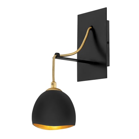 A large image of the Hinkley Lighting 35900 Shell Black