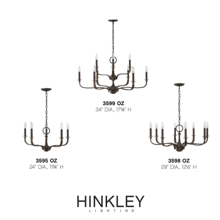 A large image of the Hinkley Lighting 3598 Alternate Image