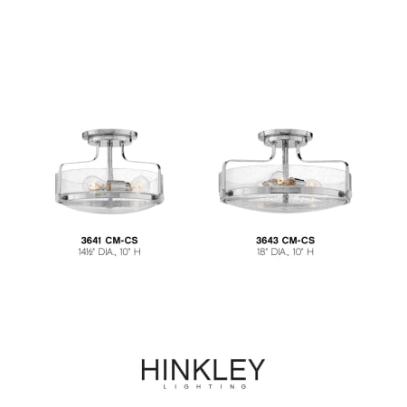 A large image of the Hinkley Lighting 3641-CS Alternate Image