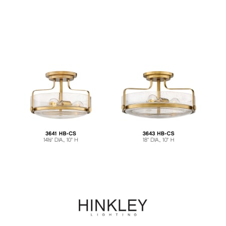 A large image of the Hinkley Lighting 3641-CS Alternate Image