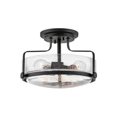 A large image of the Hinkley Lighting 3641-CS Black / Clear Seedy