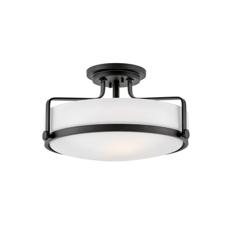 A large image of the Hinkley Lighting 3643 Black