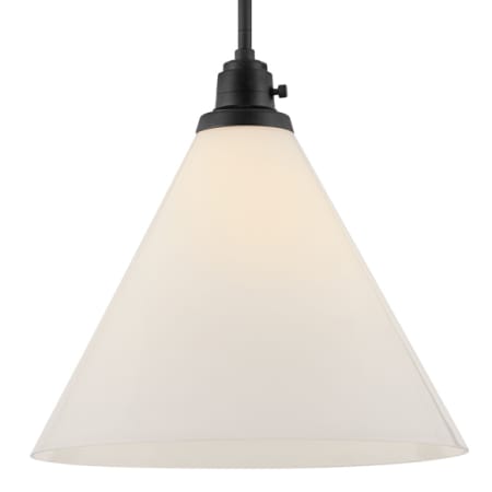 A large image of the Hinkley Lighting 3694 Black / Cased Opal