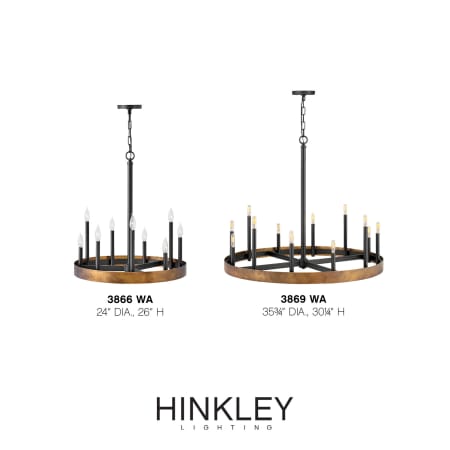 A large image of the Hinkley Lighting 3866 Alternate Image
