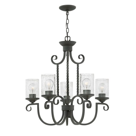 A large image of the Hinkley Lighting 4015-CL Olde Black