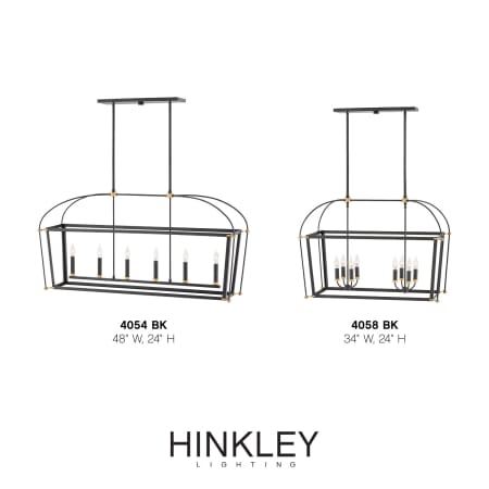A large image of the Hinkley Lighting 4054 Alternate Image