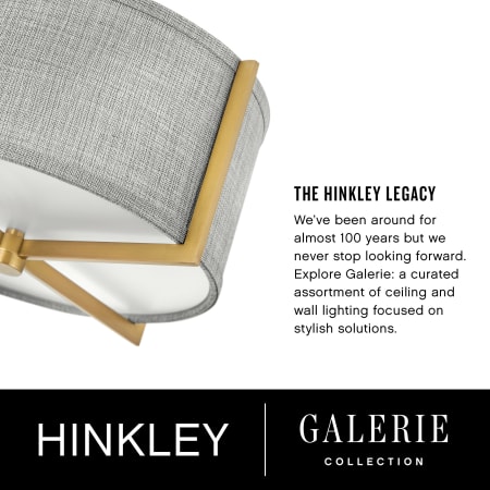 A large image of the Hinkley Lighting 41805 Alternate Image