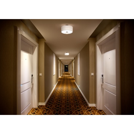 A large image of the Hinkley Lighting 41808 Alternate Image