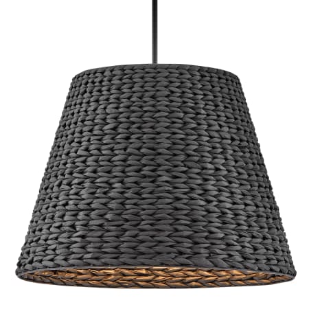 A large image of the Hinkley Lighting 43224 Black