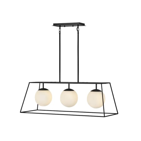 A large image of the Hinkley Lighting 4376 Black