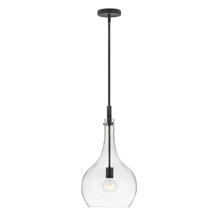 A large image of the Hinkley Lighting 4457 Black / Clear