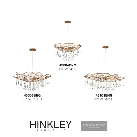 A large image of the Hinkley Lighting 45304 Alternate Image