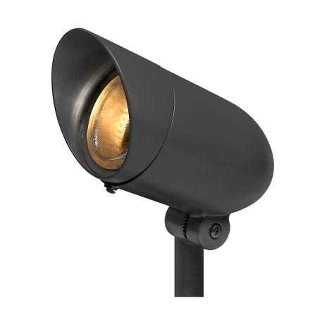 A large image of the Hinkley Lighting H54000 Black