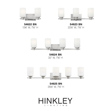 A large image of the Hinkley Lighting 54622 Alternate Image