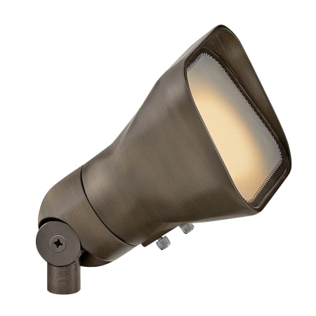 A large image of the Hinkley Lighting 55300 Matte Bronze